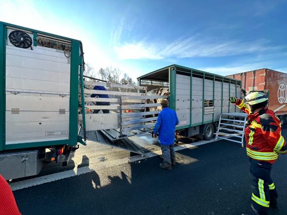 IMG-20221213-WA0022 groß.jpg